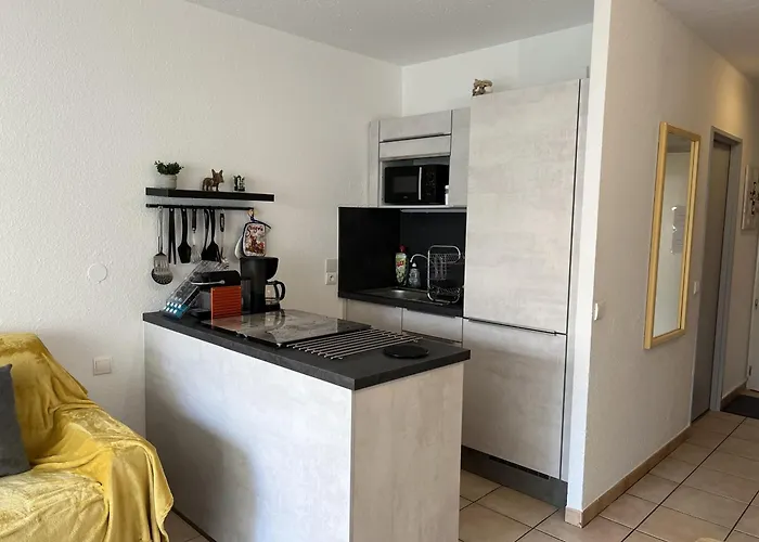 Climatise 2/3 P. Proche Et Commerces - Fr-1-466a-55 * Saint-Raphael (Var)